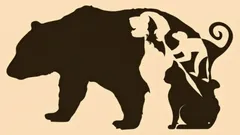 Deze op beelden gebaseerde test helpt je te bepalen welke van je meest uitgesproken persoonlijkheidskenmerken kenmerkend voor je zijn en wat je belemmert in de interactie met anderen.